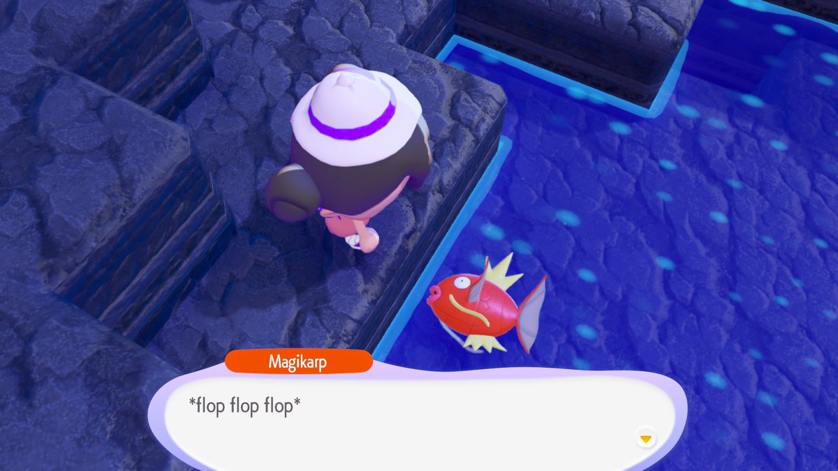 Romanova 🌸🐸 tweet media