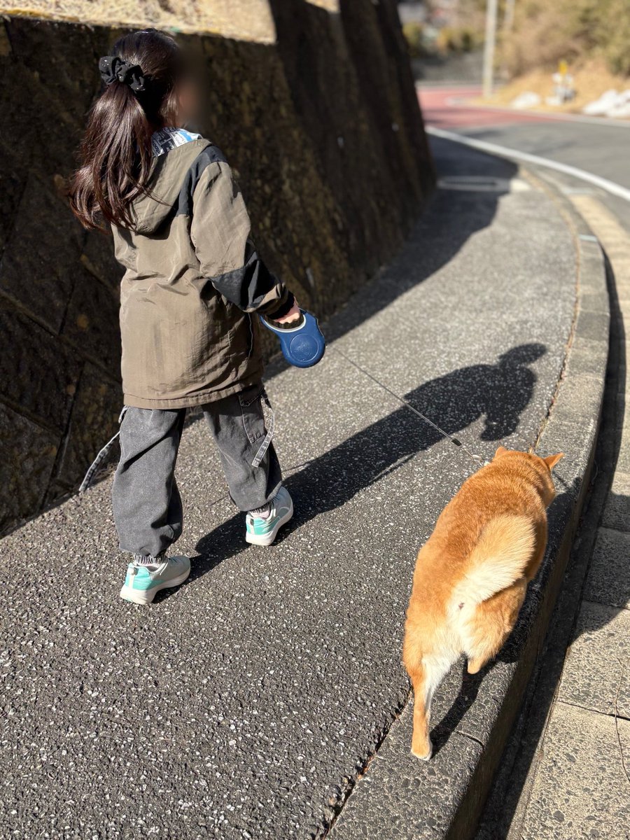 そらんぽ🐕 ͗ ͗ ͗with 娘👧🏻