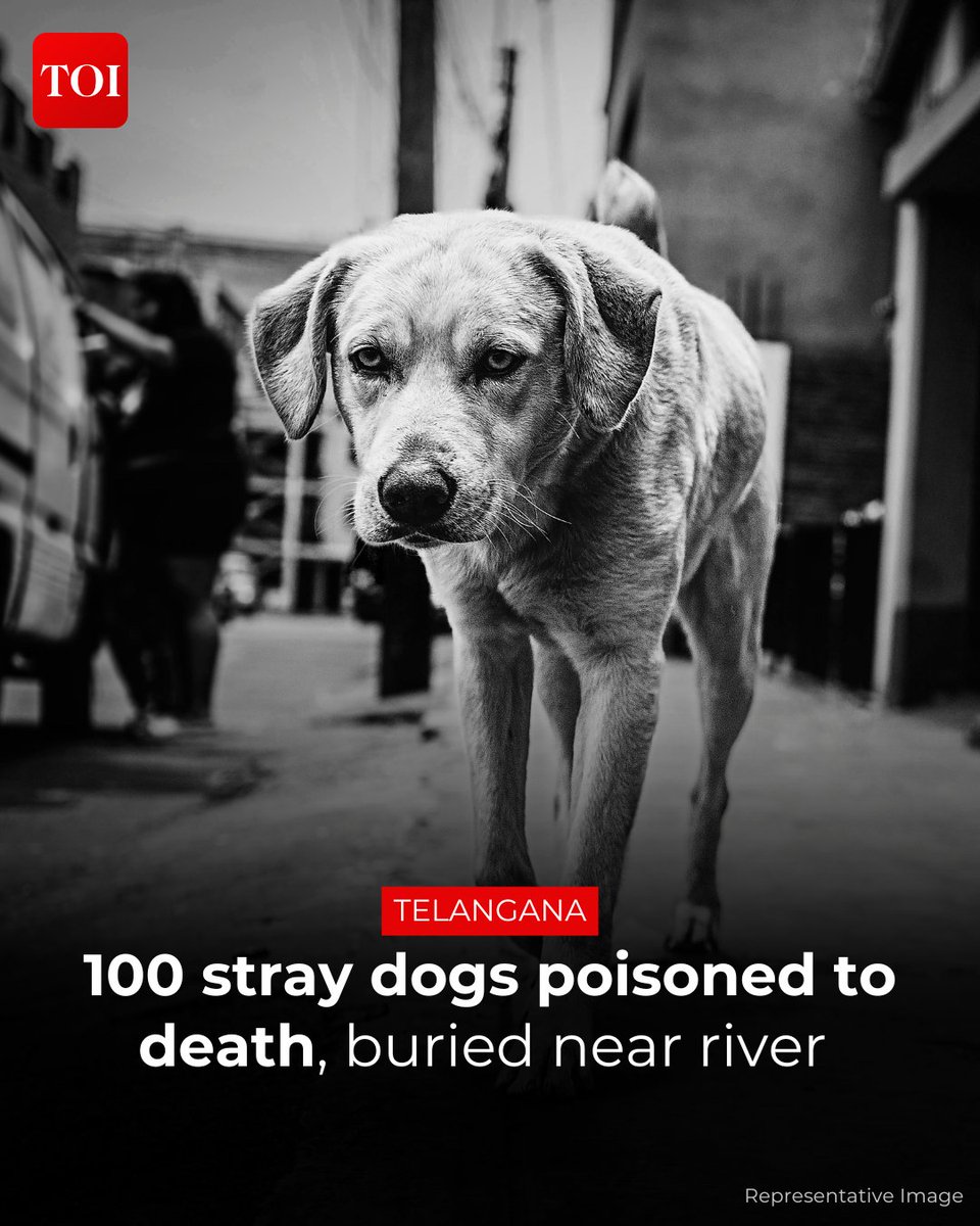 The Times Of India tweet media