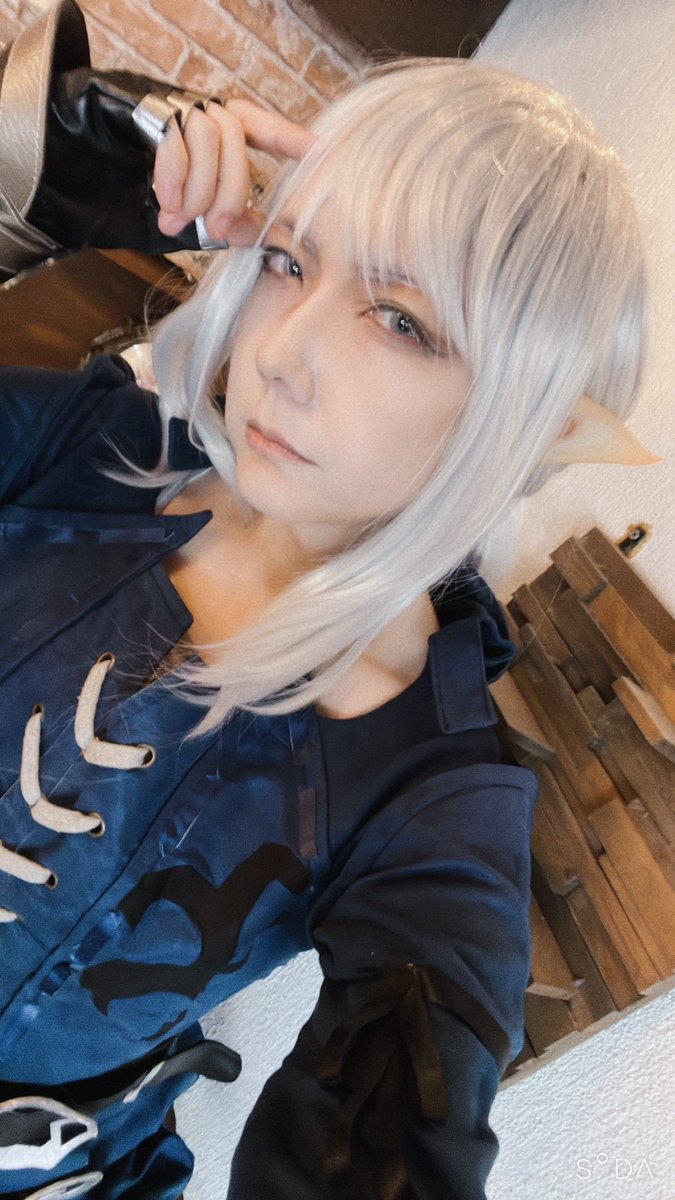 ニャンやってるよ