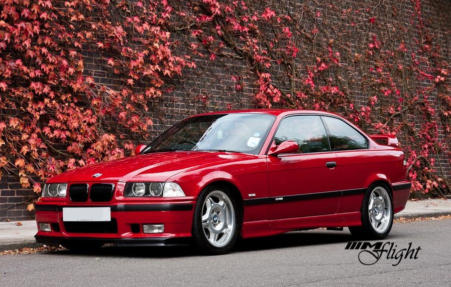 Daily Horoscopes tweet media