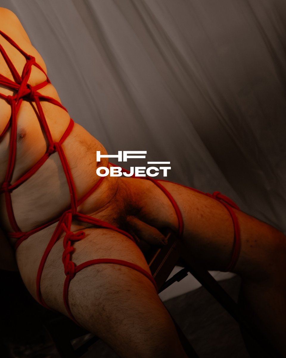 Human Furniture / @hf_object tweet media