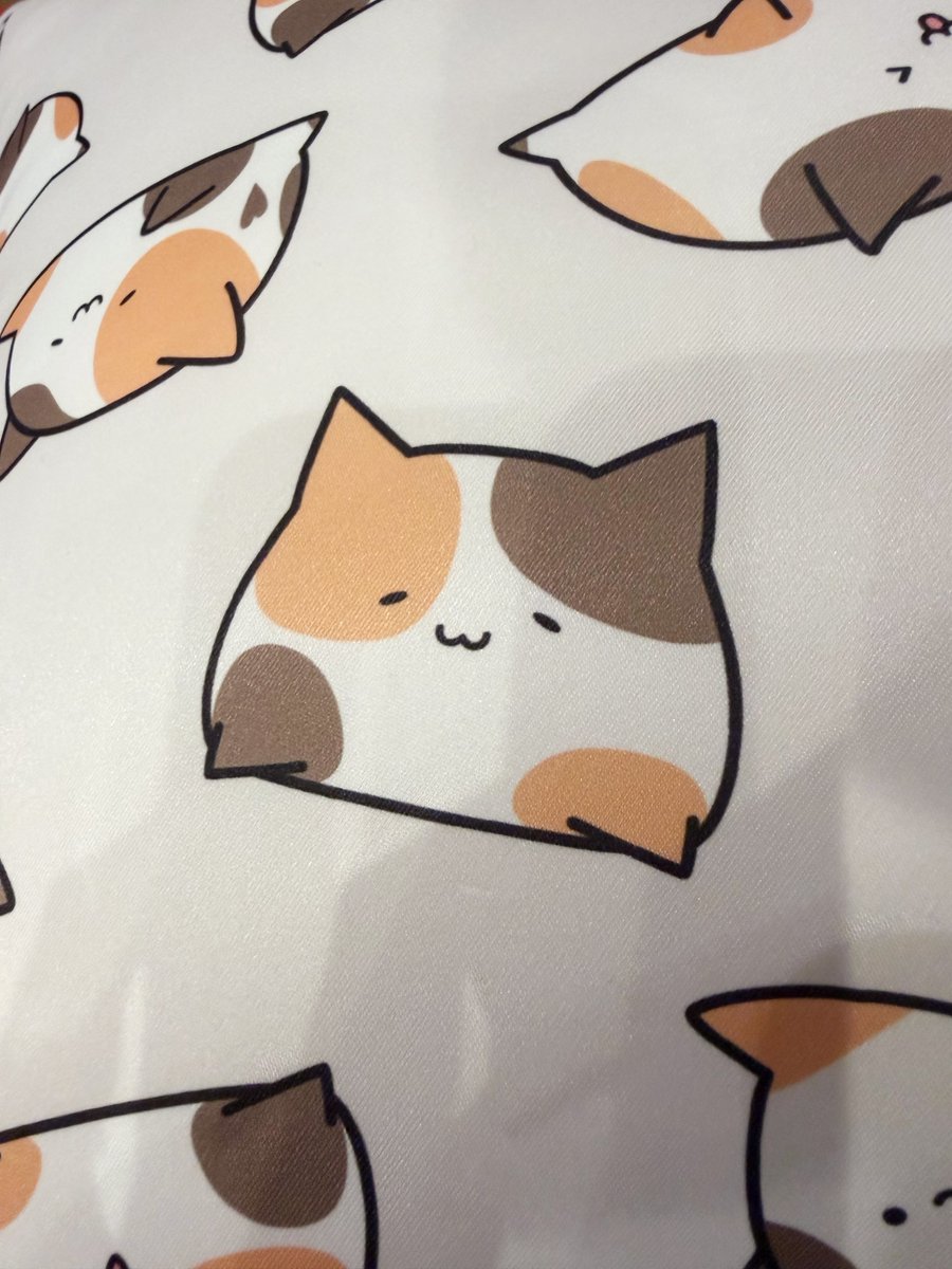 にょちおクッション、とても大きくて
弾力ぼふんぼふんでした!! ⸜🐱⸝

裏側にもかわいいにょちおがいます( ֊  ̫ ֊)✨
#D4DJ #はぴにょち #ハピアラ
