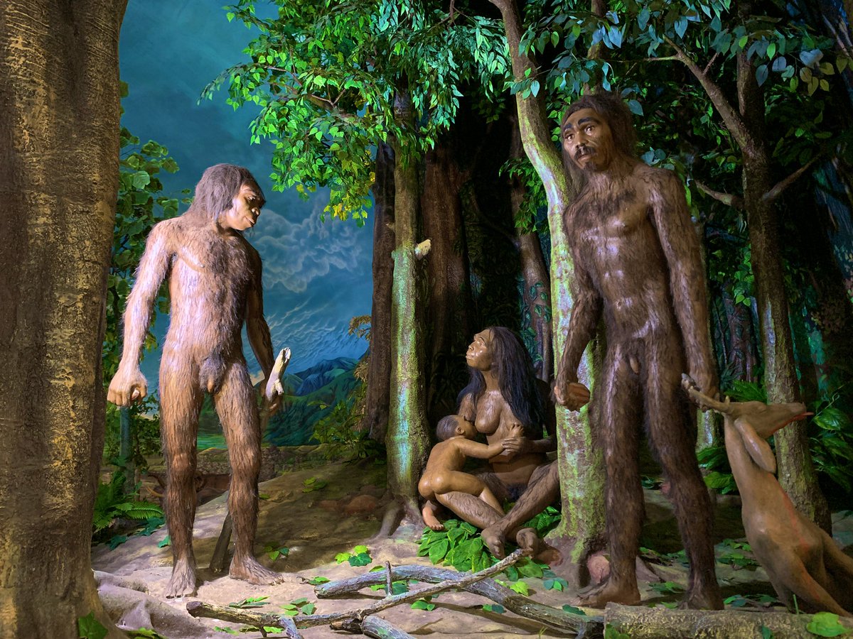 Khanif Irsyad tweet media