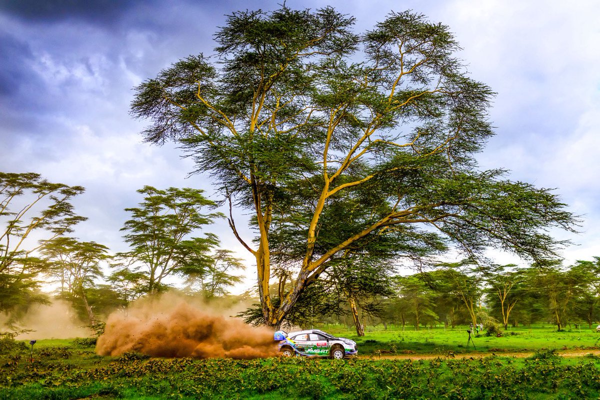 FIA World Rally Championship tweet media