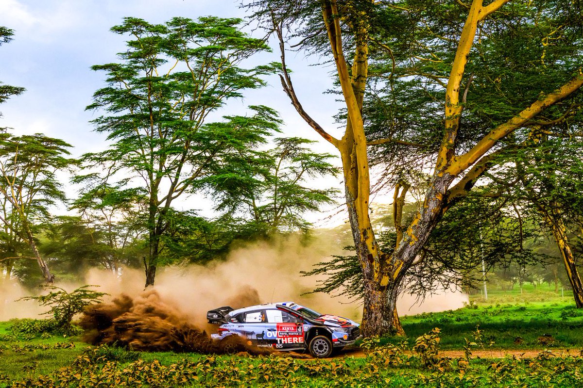 FIA World Rally Championship tweet media