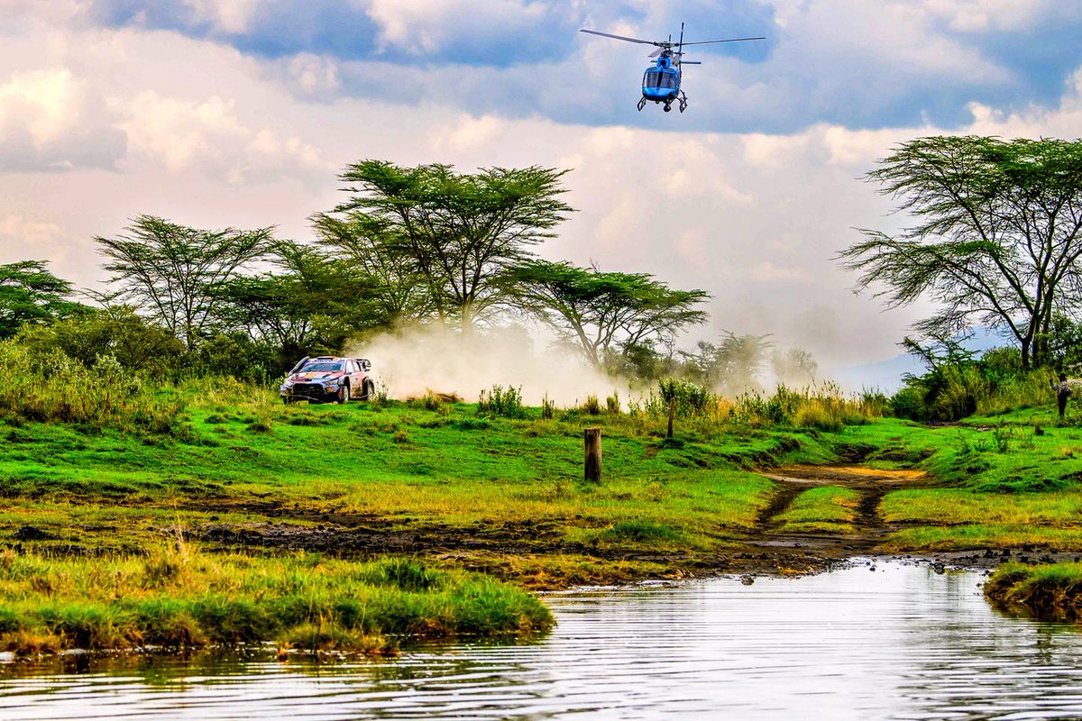 FIA World Rally Championship tweet media