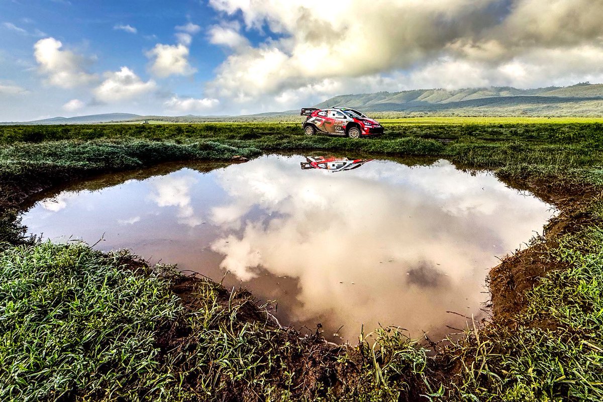 FIA World Rally Championship tweet media