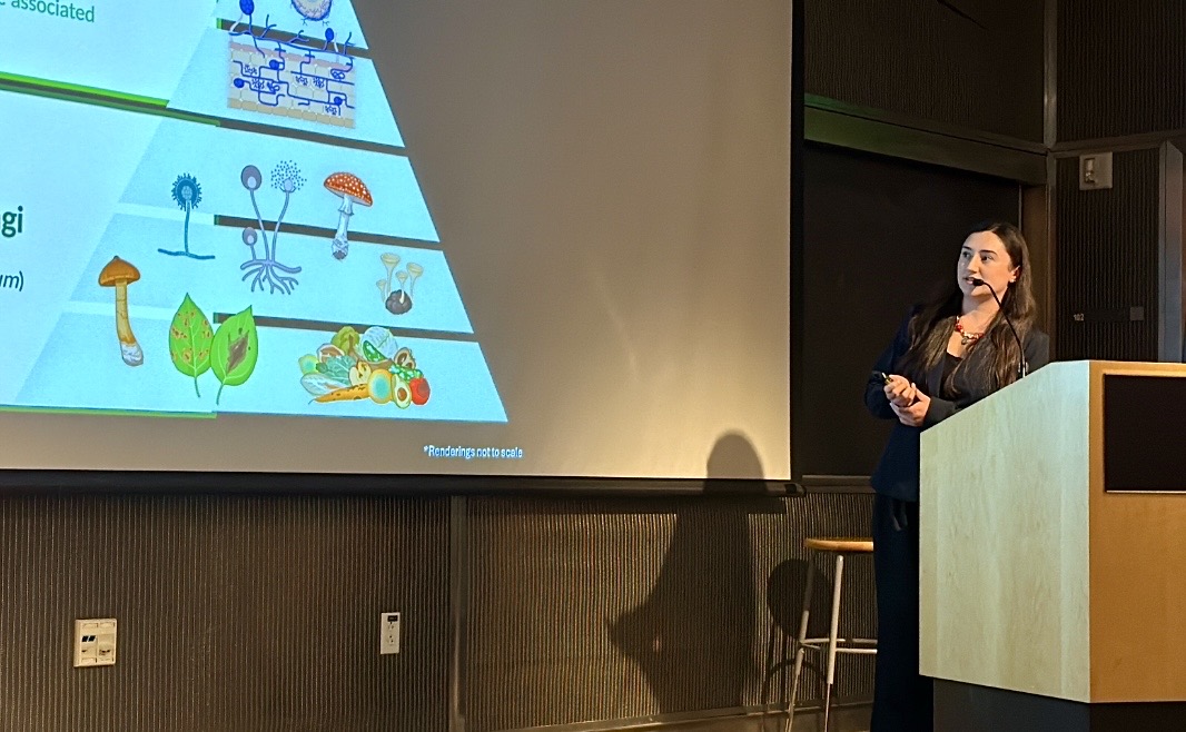 Nora M. Shamoon, M.S. tweet media