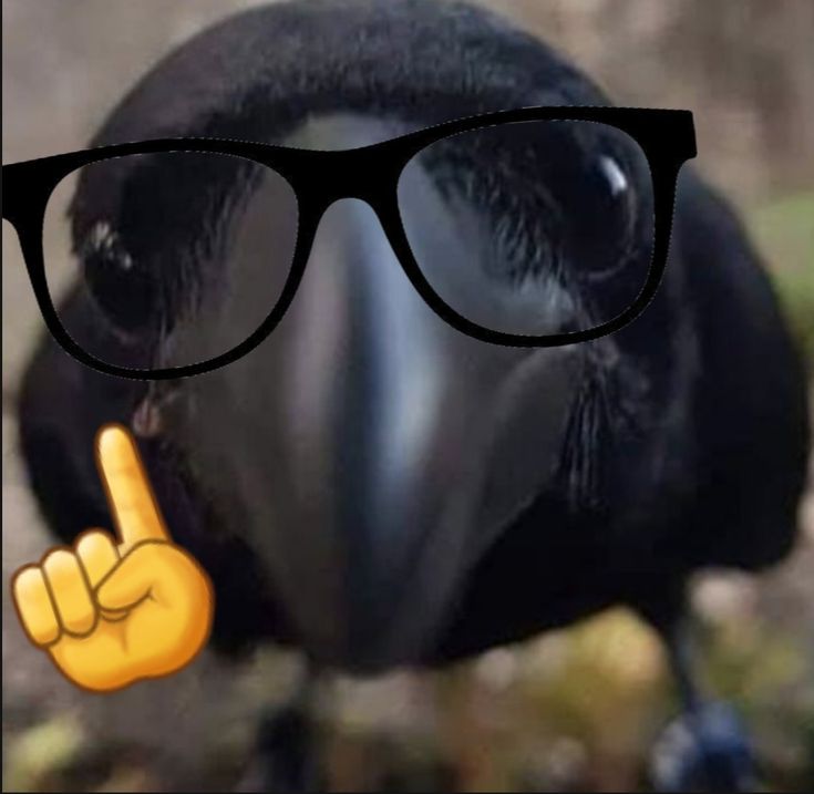 Cami_Saori2's tweet image. ☝️🤓 #MTMB #MarioTheMusicBlx #mariothemusicboxarc #Marchionne