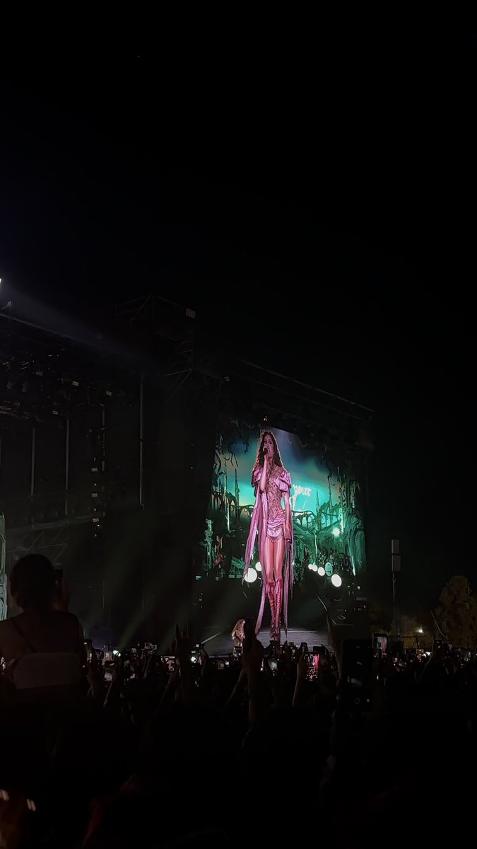 camizon_'s tweet photo. Les presento a mi mujer, la kayleigh, la amo, ella puede hacer lo que quiera que yo la voy a defender #lollapalooza #chappell https://t.co/kwaHqH1W0e