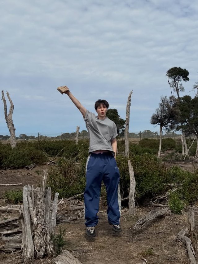 nat 🐾 tweet media