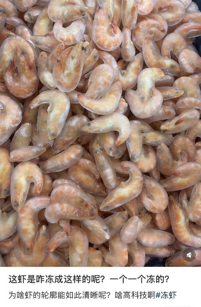 夜之城鼠鼠 tweet media