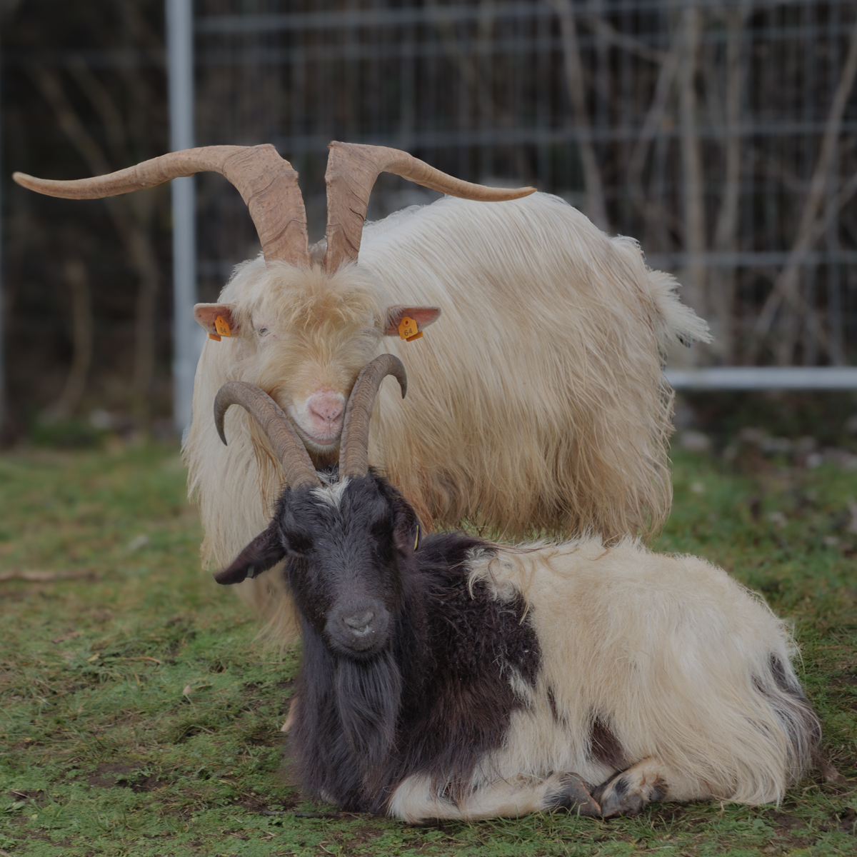 Daily Picture Theme tweet media