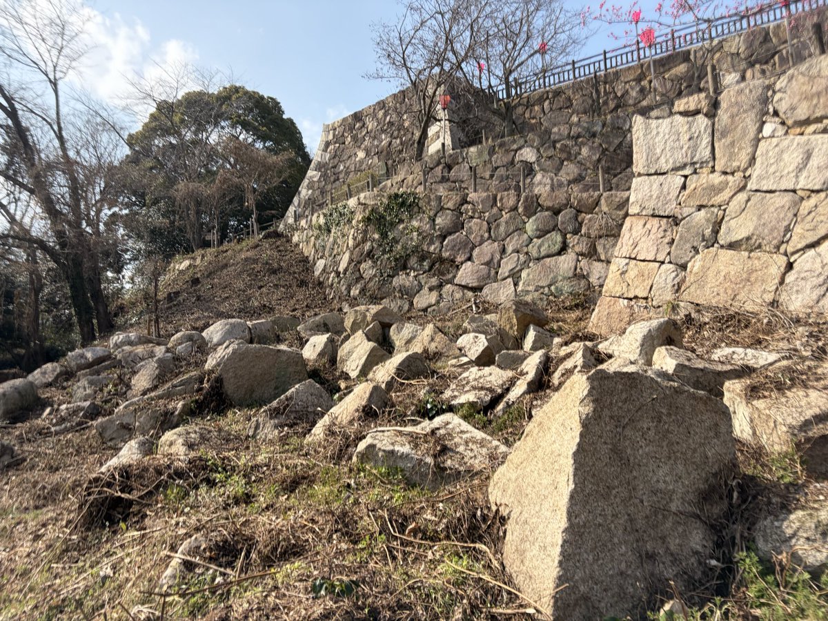 ガンビー（銃蜂） tweet media