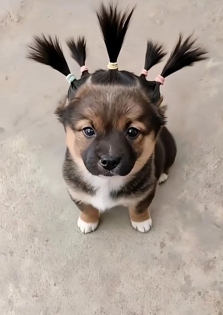 Nami₊˚⊹ ᰔ tweet media