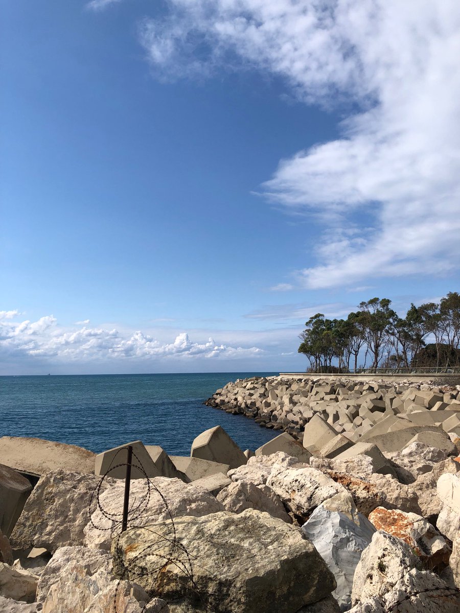 Marie Nassar tweet media