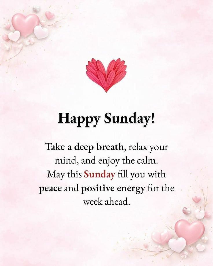 Pady Padre integra )✣( tweet media