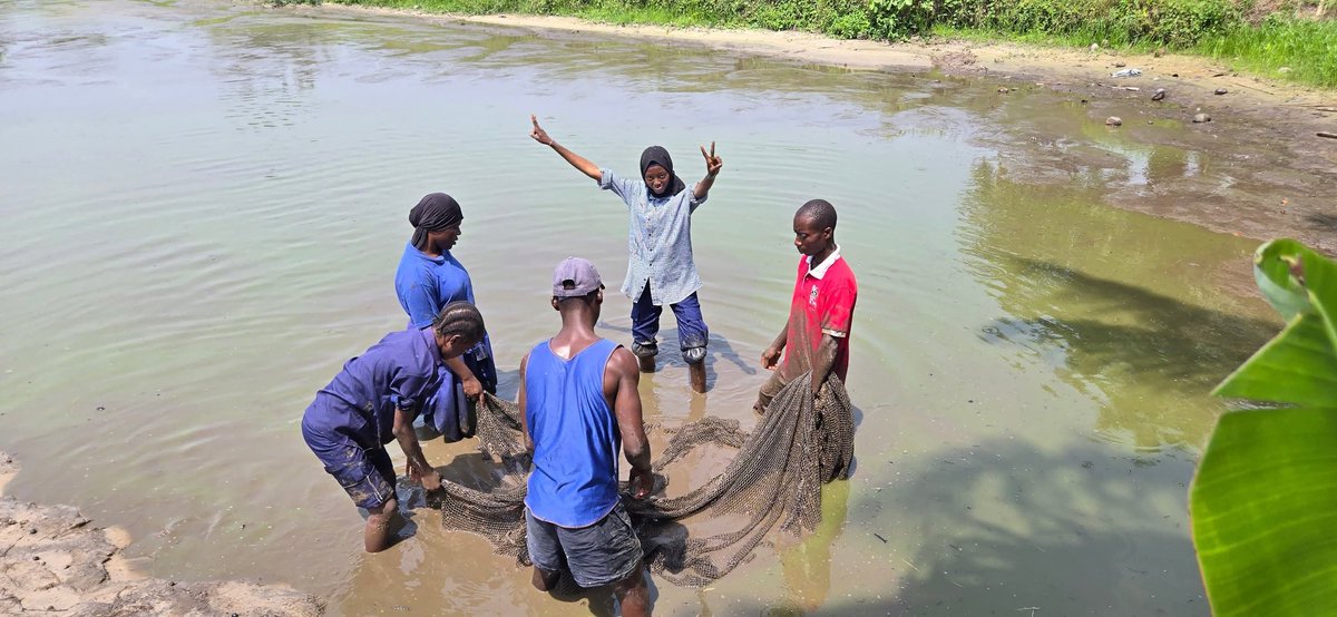 voiceofdFarmer's tweet photo. If you’re studying Fisheries or Aquatic Biology, find your way to Sej Farms Consult Ltd, Badagry for your internship.
The hands-on experience there is priceless , you won’t regret it.
#Fisheries #Aquaculture #InternshipOpportunity #FishFarming #Agriculture #Badagry #AgriYouth https://t.co/ZgyV9DRRou