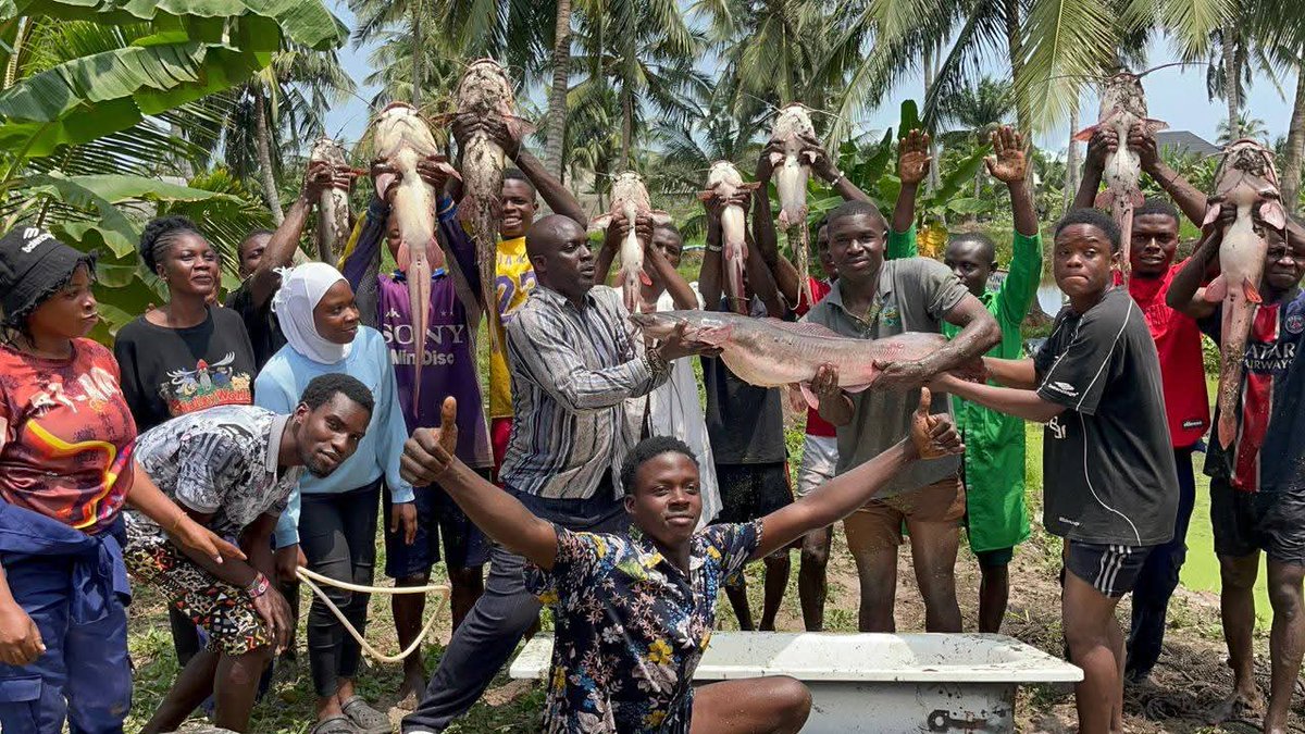 voiceofdFarmer's tweet photo. If you’re studying Fisheries or Aquatic Biology, find your way to Sej Farms Consult Ltd, Badagry for your internship.
The hands-on experience there is priceless , you won’t regret it.
#Fisheries #Aquaculture #InternshipOpportunity #FishFarming #Agriculture #Badagry #AgriYouth https://t.co/ZgyV9DRRou