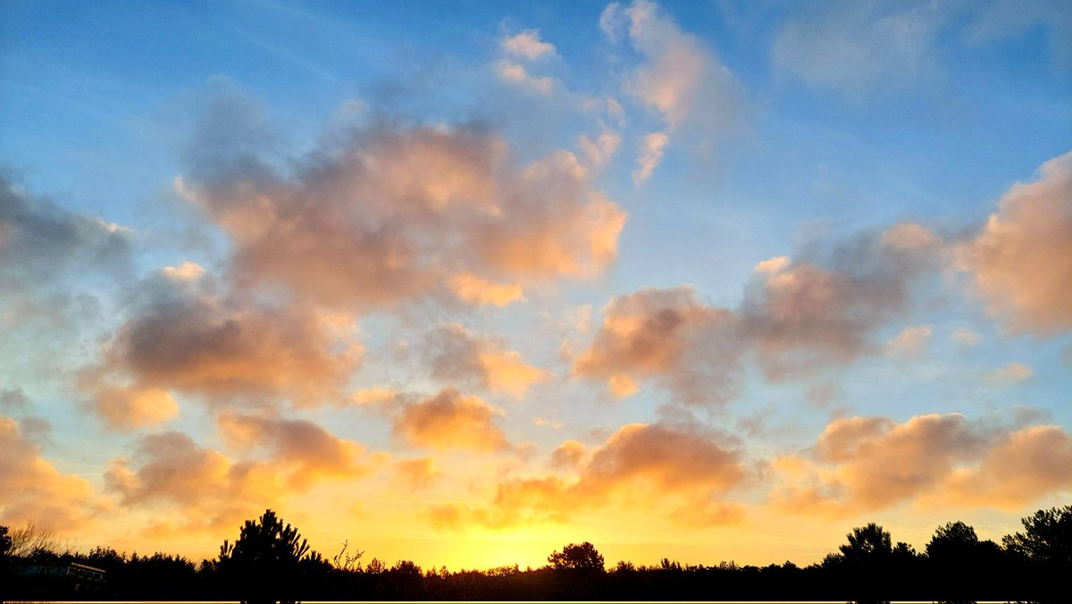 HettieZurMuhlen's tweet photo. ๐goedemorgen vanuit mijn duin๐ #zonsopkomst #Ameland #mijnduin Fijne zondag ๐โ๏ธ๐ https://t.co/D6sji2B9dJ