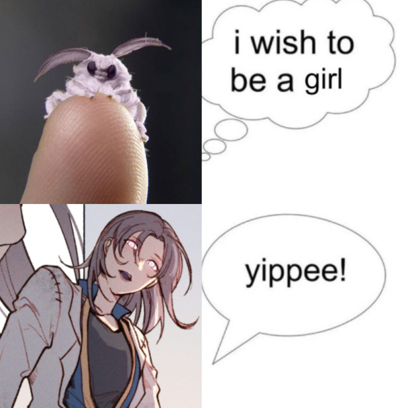 Milra🌿 (update in pin) tweet media