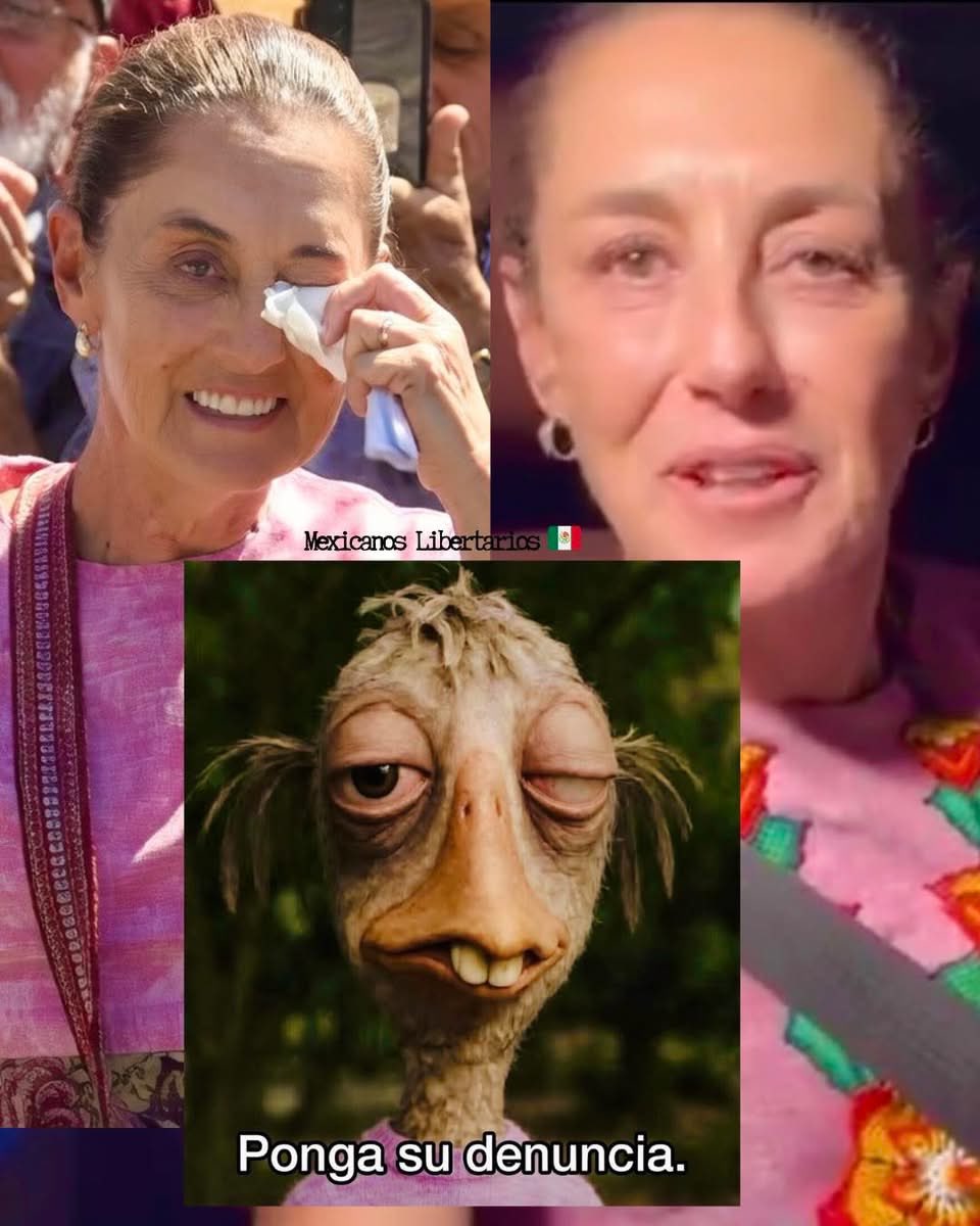 DRA. MERCEDES PAVON "SUPERMUELITA FIFÍ" tweet media