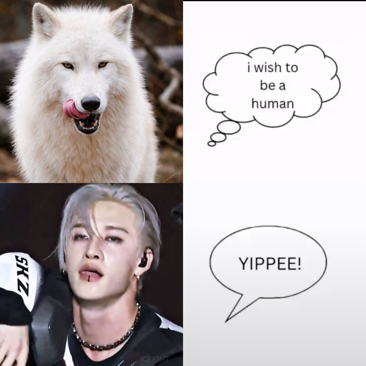 i_qlight's tweet photo. 👅🐺 https://t.co/n1eSA8pahy