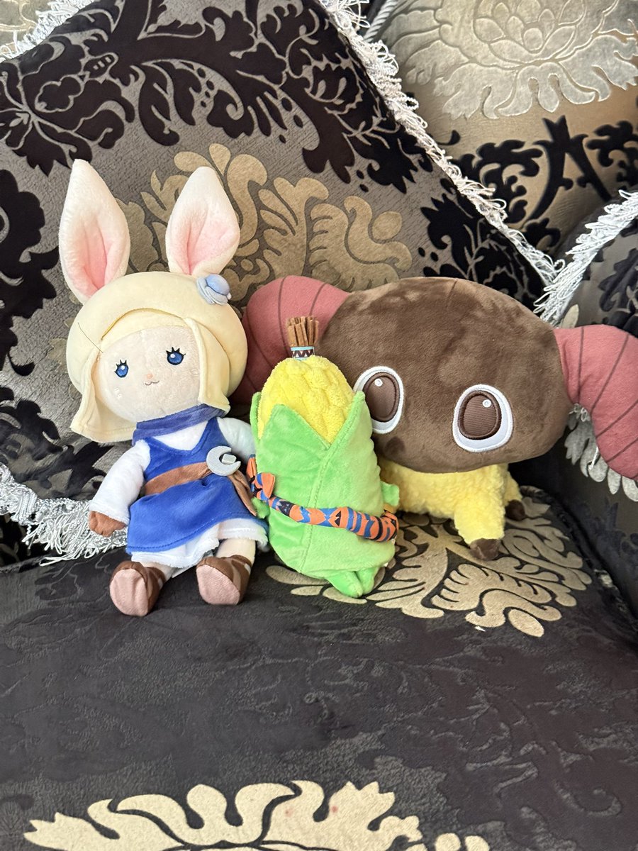 暁合わせに来てます。
ヒロシ‼️