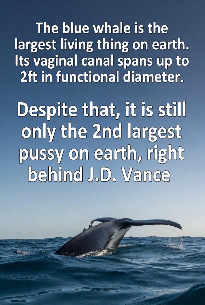 ⚛️Ⓜ️ Dr_Aquilae.BULL Ⓜ️⚛️ tweet media