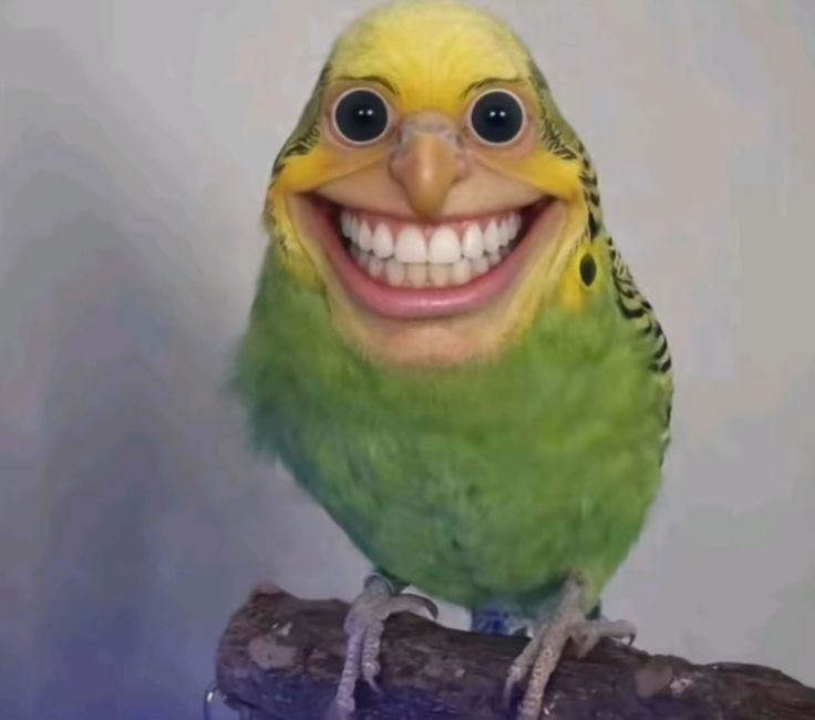 labubu tung tung sahur tweet media