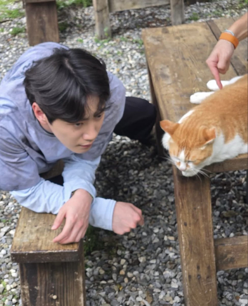 이준영 얼굴 tweet media