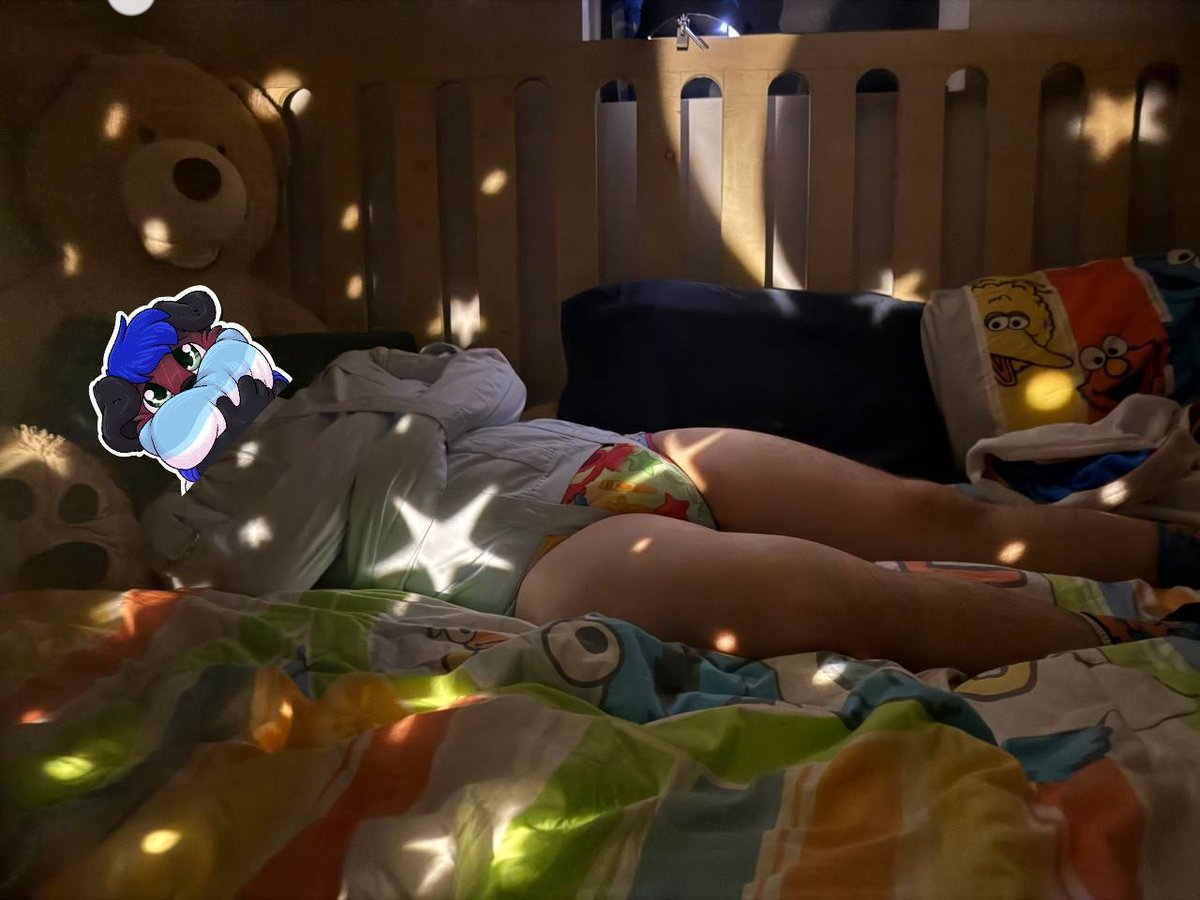 Carter the Labradork :3 🔜 FWA tweet media