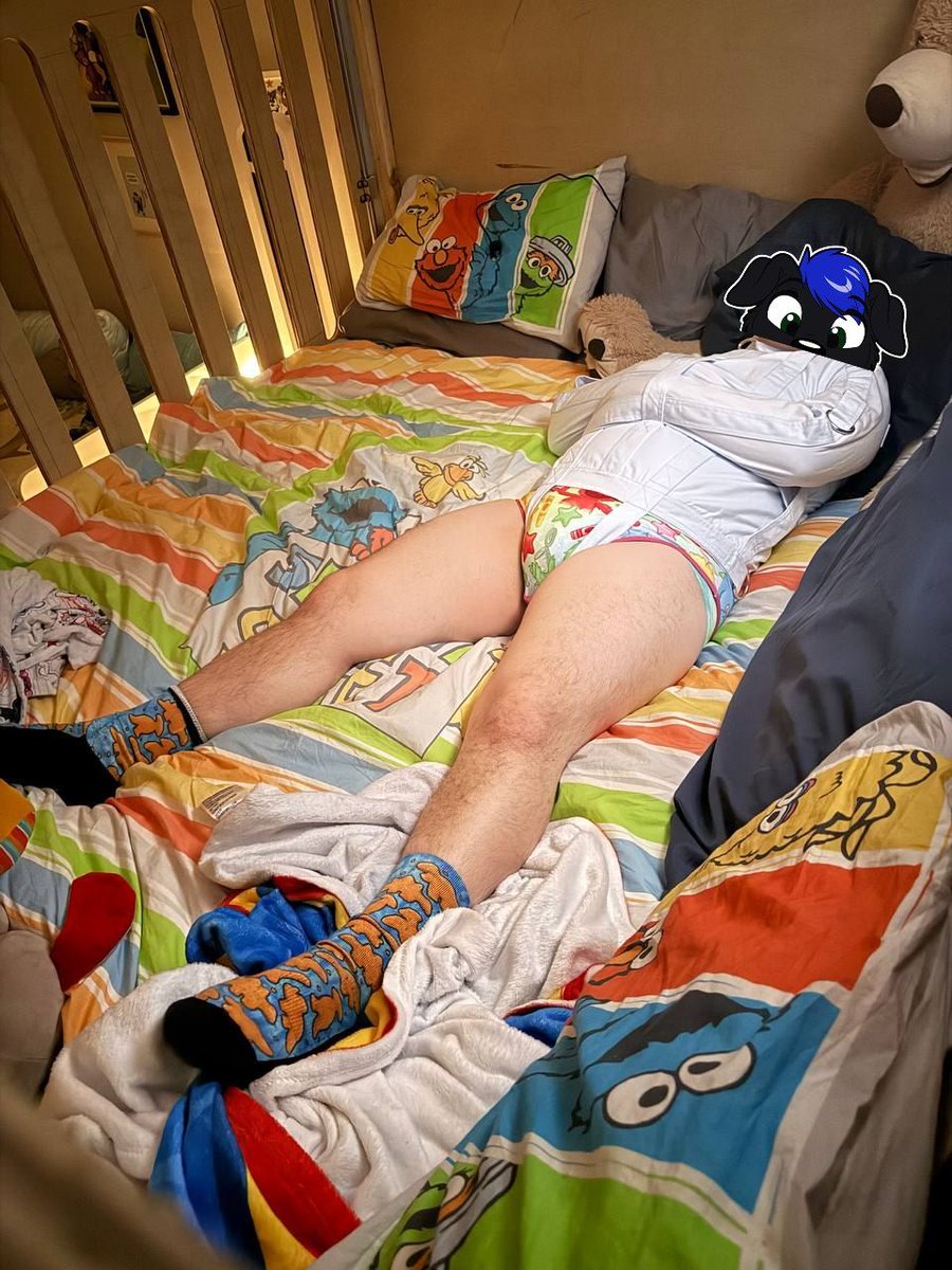 Carter the Labradork :3 🔜 FWA tweet media