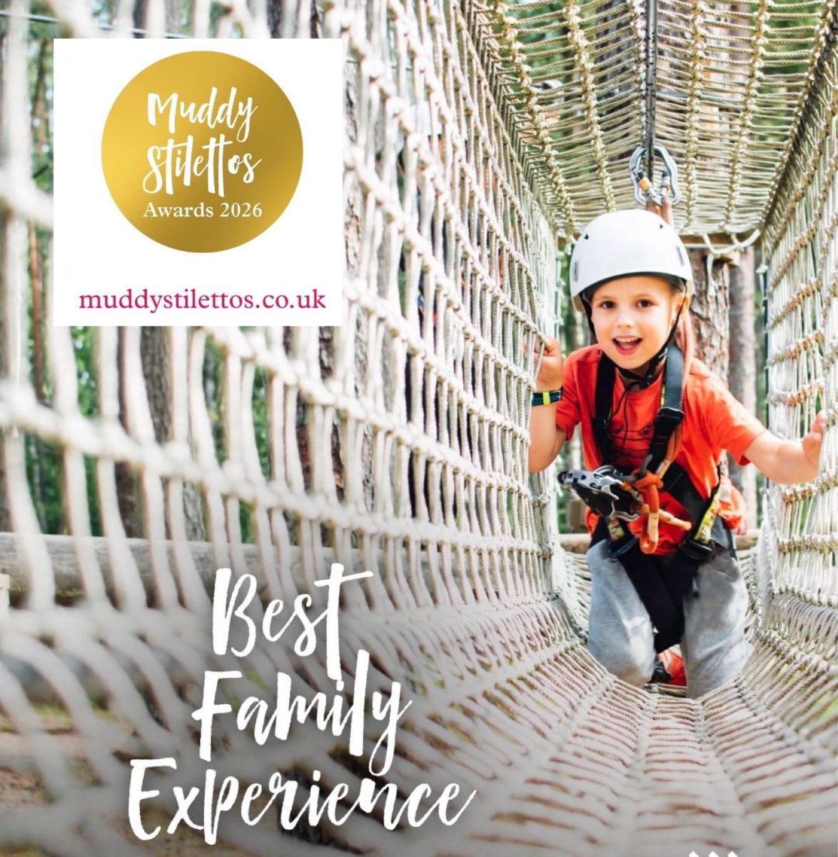 Matlock Farm Park tweet media