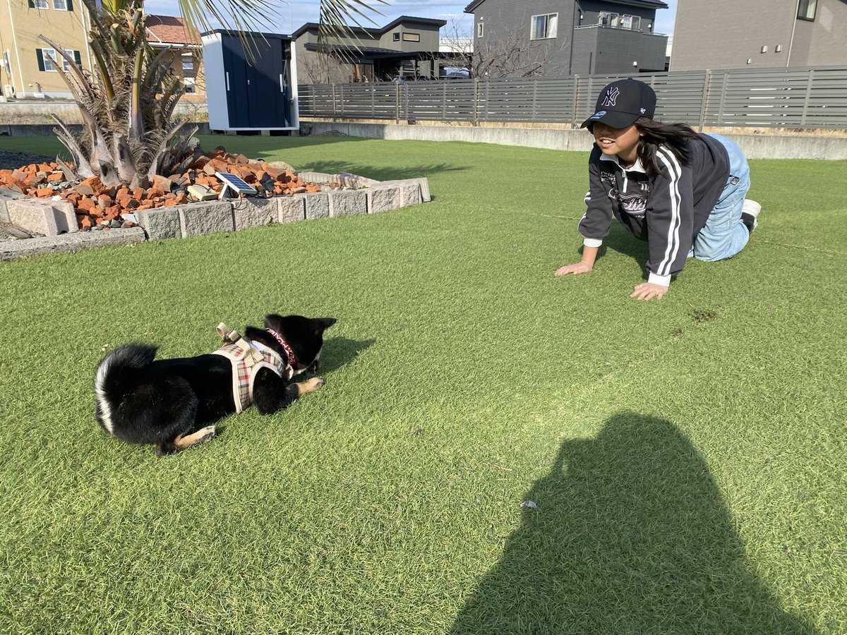 sakiniyon's tweet photo. 仲良しな娘たち🩷

#柴犬 
#柴犬のいる生活 
#サッカー https://t.co/QJ3o86JRoB