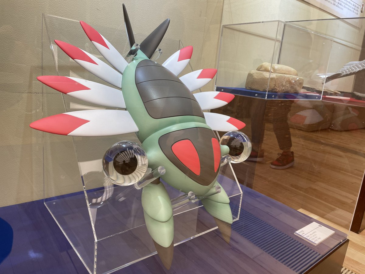 ミエム #ポケモン化石博物館みえむきたよ アノマロカリスの化石と