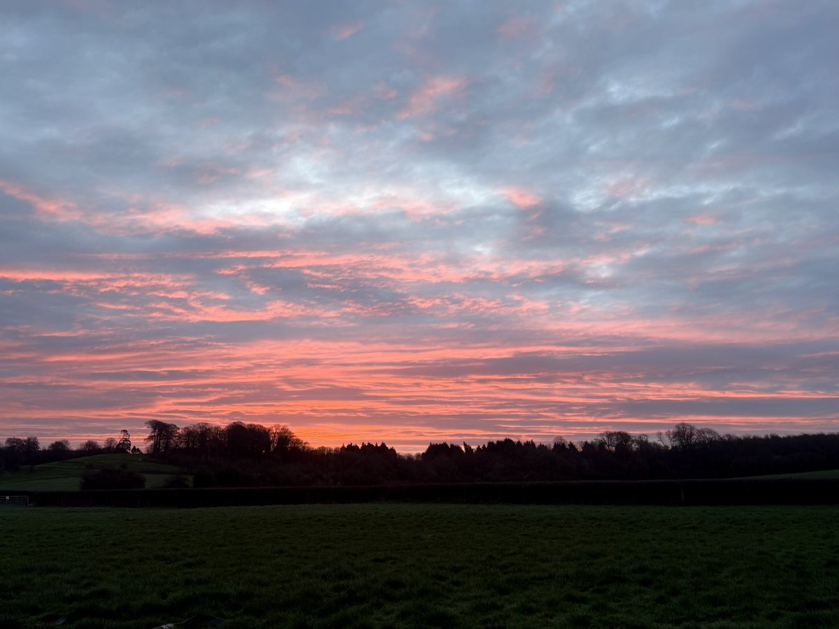 Abi Reader tweet media