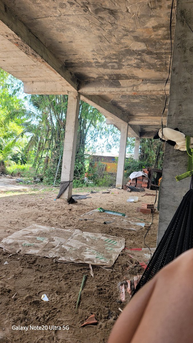 Love Penectomy tweet media