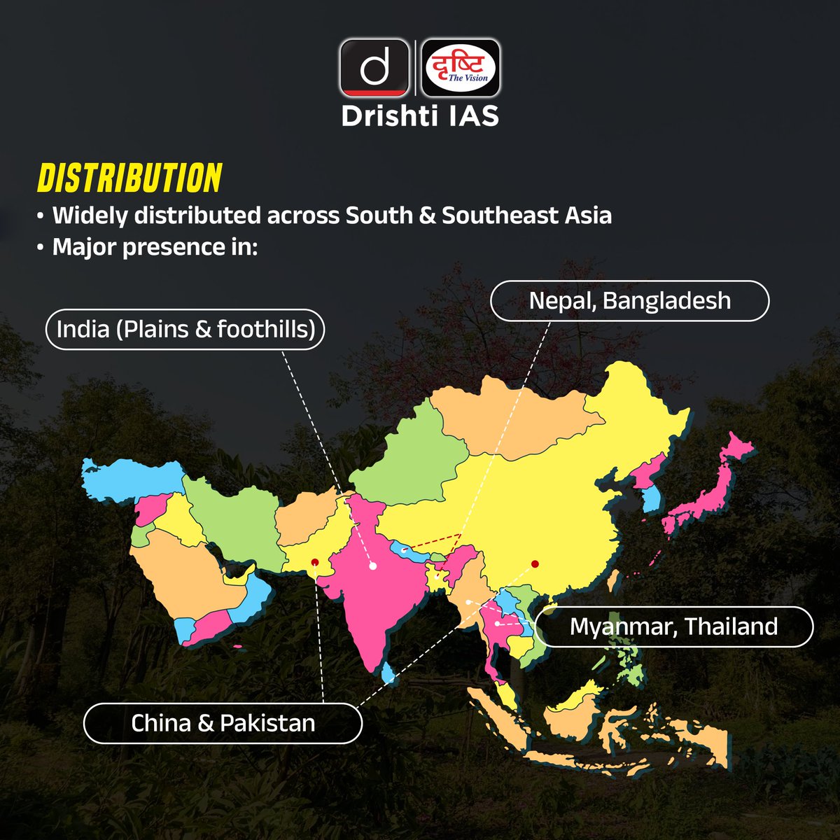 drishtiiaseng's tweet image. 🌺 When the Semal blooms, ecology speaks. 🌳
Bright red flowers. Towering height. Silky cotton pods.
But the Semal (Silk Cotton Tree) is more than just a seasonal spectacle.

#Semal #UPSC #Environment #Biodiversity #Ecology #DrishtiIAS #DrishtiIASEnglish