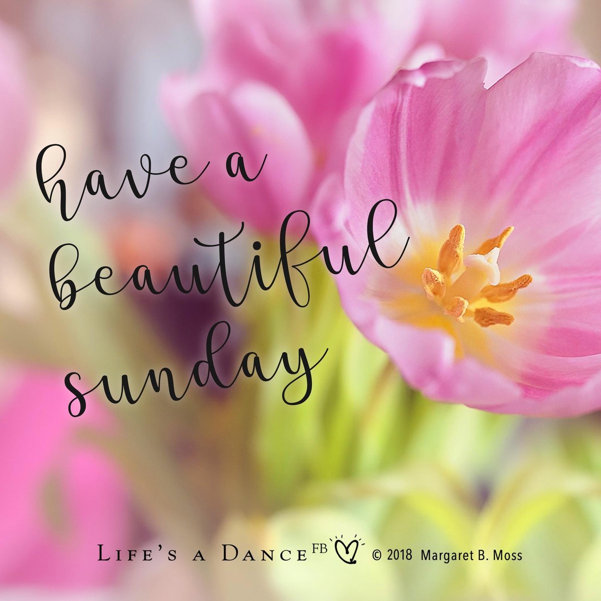 Ruth Northway RN(LD) FRCN FLSW, FQNI tweet media