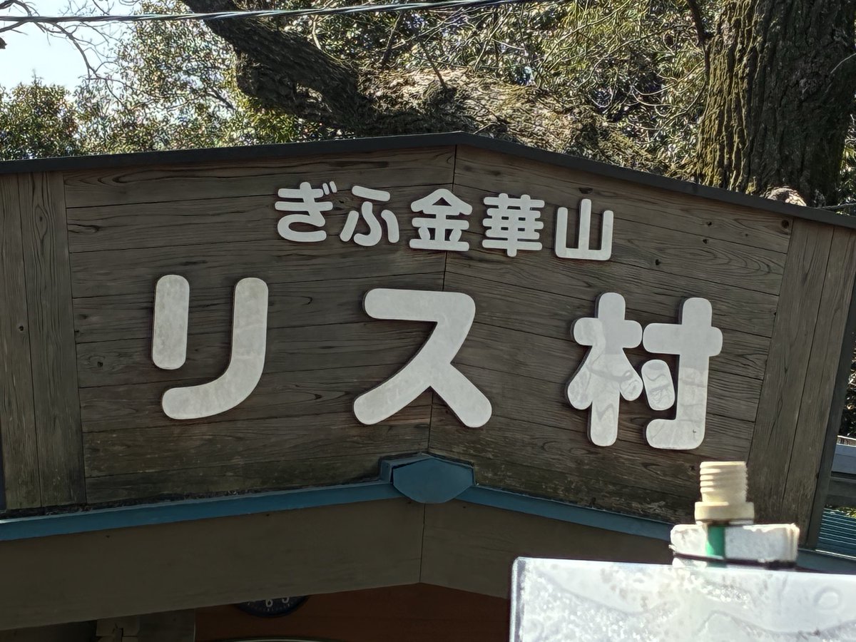 mojo_caprice's tweet photo. 岐阜城へ大手道から登ってきた！
登る人が多くてビックリ、人気の山なのね https://t.co/mWKeRb7LJf