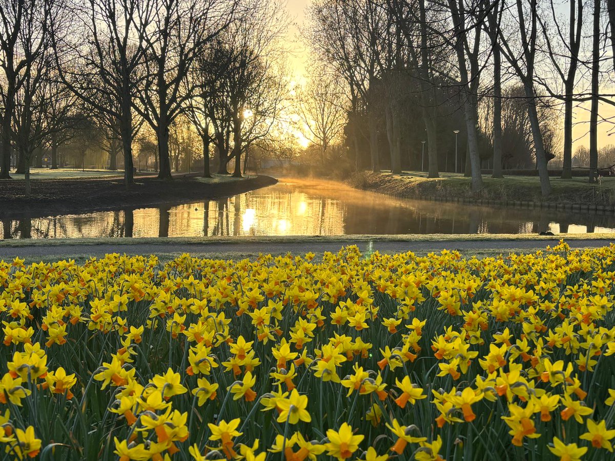 Fraaie start van deze zonnige zondag!☀️ #goedemorgen