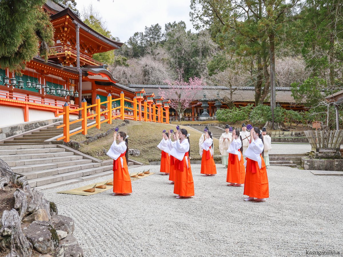 春日大社 kasugataisha shrine tweet media