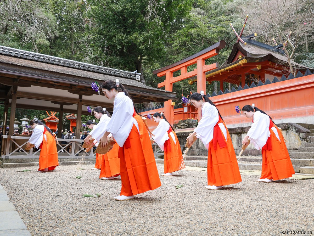 春日大社 kasugataisha shrine tweet media