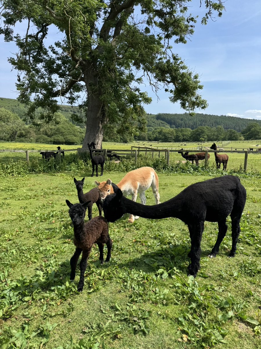 ❤️Happy Mothers Day ❤️