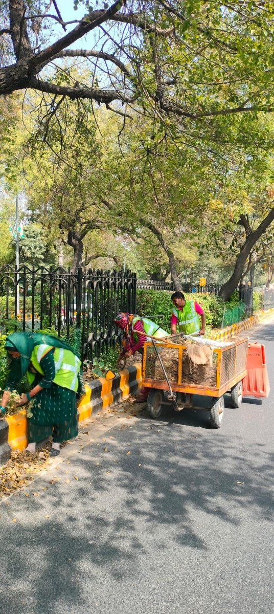 sidhatrigauba's tweet photo. Clean streets, healthier communities. Appreciate NDMC’s dedication towards 
sanitation and public hygiene.
@tweetndmc @shoobhgroup

#NDMC #SanitationDrive #CleanIndia #HealthyCity 
#shoobh https://t.co/usATmzHh2K