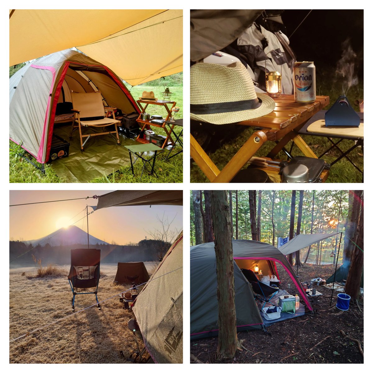 Kuon_ミニマジェCAMP⛺ tweet media