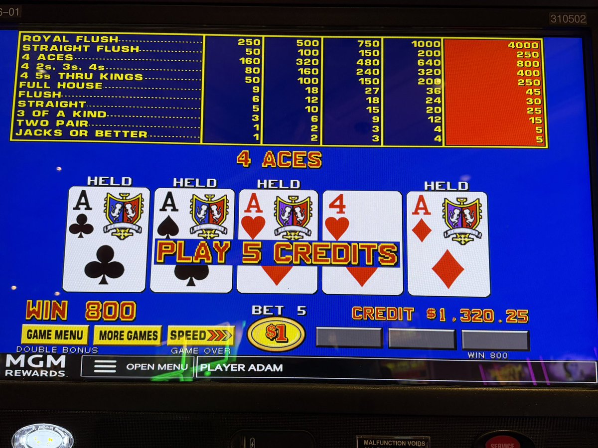 Adam Bauer tweet media