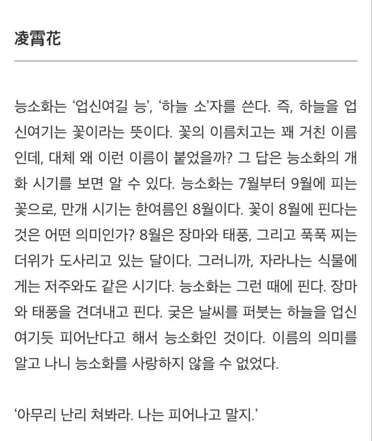 한영원 tweet media